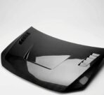 Polo Carbon Fiber Alpha Hood